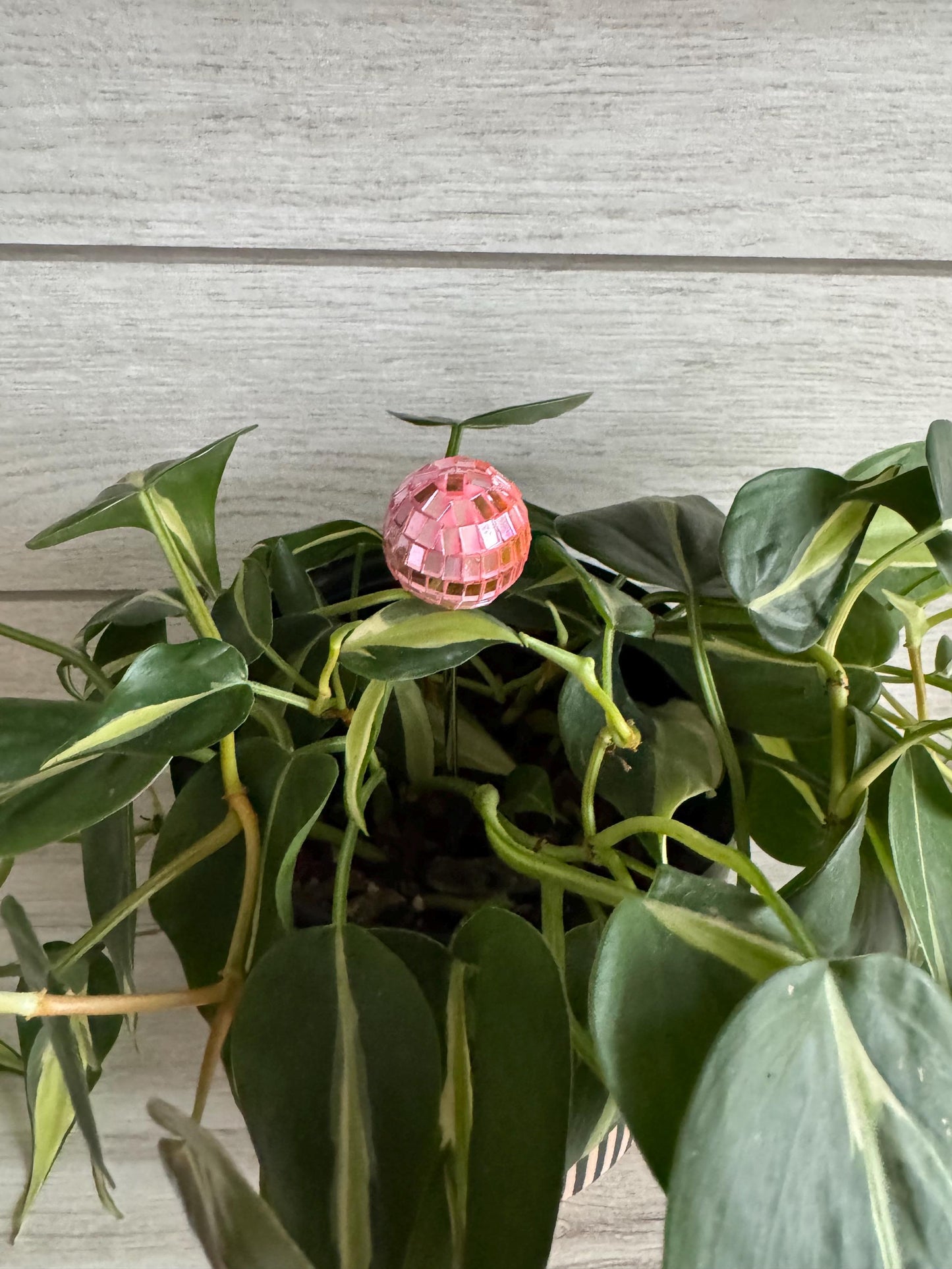 Plant Buddy - Disco Ball - Plant Stake 6" Plant Decoration